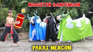 Download lagu LOL pool | SURPRISING A BULL USING M3RCON UNTIL IT WAKES UP AND THEN INVITES IT TO MBEROT KALAPAN DJ mp3 Download lagu LOL pool | SURPRISING A BULL USING M3RCON UNTIL IT WAKES UP AND THEN INVITES IT TO MBEROT KALAPAN DJ mp3