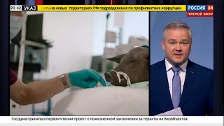 Neuralink Маска проверяют на нарушение закона 