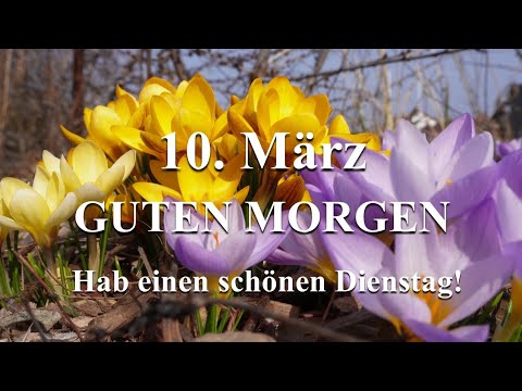 Guten Morgen am 8. März! Hab einen schönen Frauentag!