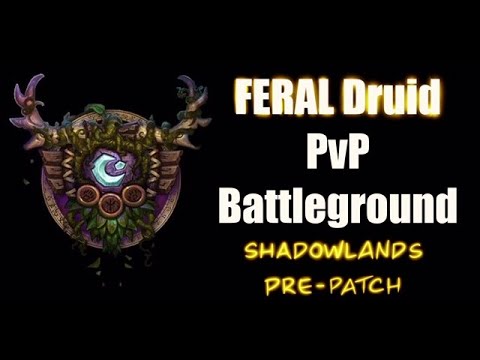 Shadowlands Pre Patch Feral Druid (Bleed Build) PVP Battlegrounds # 6