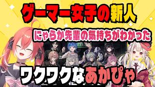 ゲーマー女子な新人にワクワクするあかぴゃ【にじさんじ切り抜き/獅子堂あかり/Y4T4】