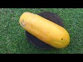 Fresh Fruit Papaya Oddly Satisfying Video Oddly Satisfying Videos Satisfying Videos