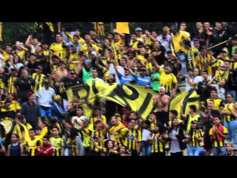 "Doy la vida por salir Campeón AVSR" Barra: Avalancha Sur • Club: Deportivo Táchira