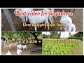 Low Budget Goat Farm குறைந்த செலவில் ஆட்டு பண்ணை Goa