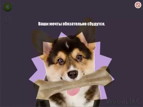 Карта желаний 2 (VisuaLife) Video