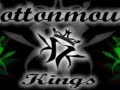 Kottonmouth kings - blaze of glory