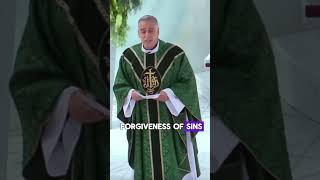 Father Mark Beard Explains Why We Confess Our Sins to a Priest #shorts