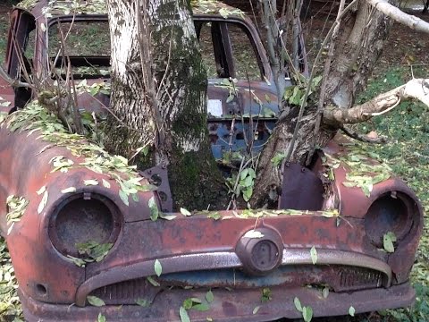 Thumbnail for Simca Oldtimer Forest Find by Simca