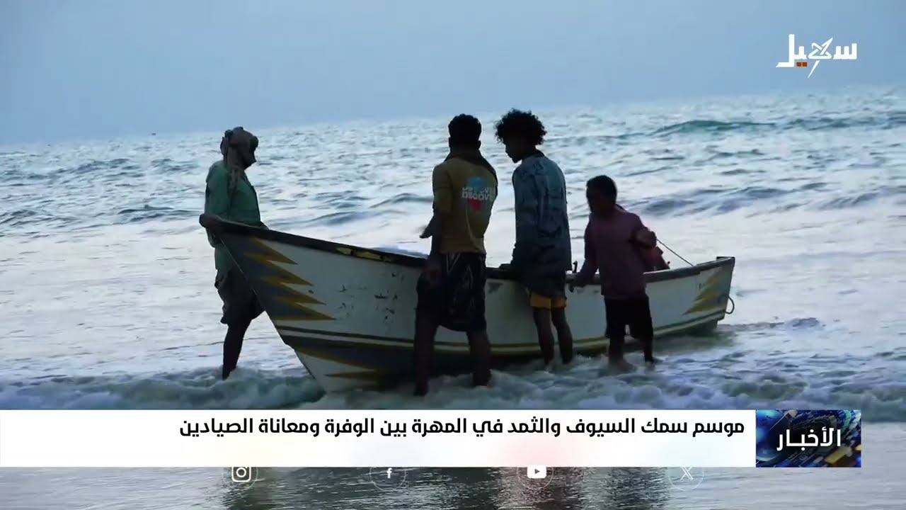 موسم سمك السيوف والثمد في المهرة بين الوفرة ومعاناة الصيادين