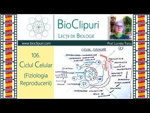 106. Ciclul celular - Fiziologia reproducerii