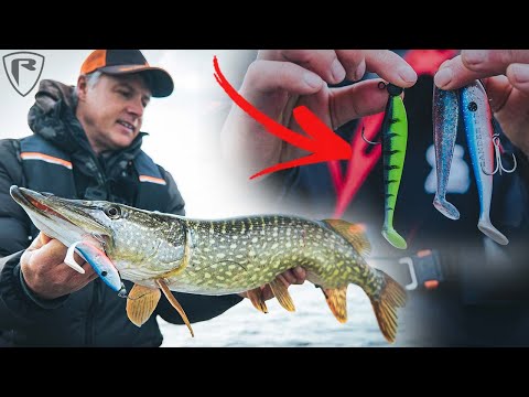 Zander Pro Shad - Nieuwe Kleuren| Roofvissen