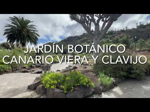Jardín Botánico Canario Viera y Clavijo, Gran Canaria (4K)