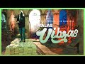 Malas Vibras Video Oficial David Ber Malas Vibras Video Oficial David Ber
