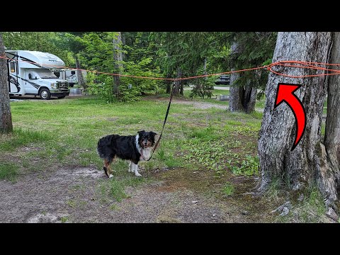 This Tie Out Trolley for Dogs is GREAT for Camping!