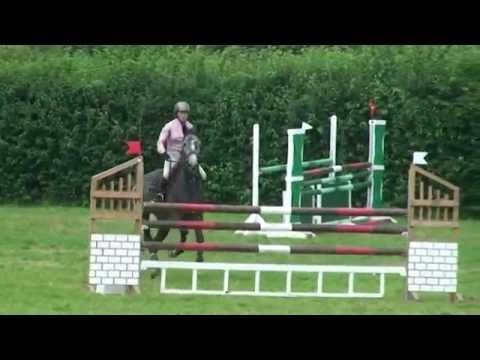 ♥ Eluric PP- jumping horse  by Diamant de Semilly