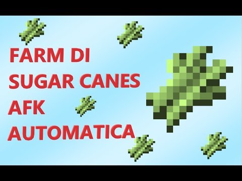 [1.20+] FARM DI CANNE DA ZUCCHERO AFK AUTOMATICA - COMPATTA -Redstone Tutorials