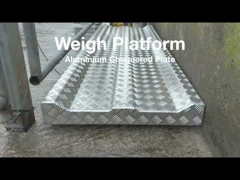 Cattle Weighing scales Gallagher TAMS approved - Image 2