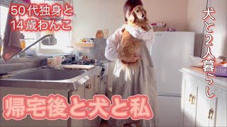 帰宅後と犬と私【50代独身と14歳わんこ】【犬と2人暮らし】