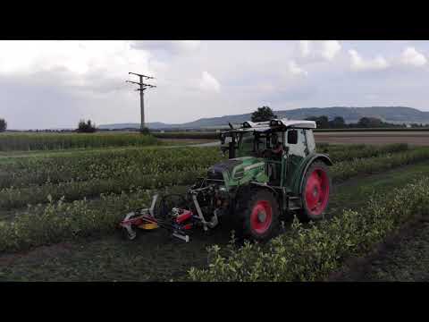 Bineuse intercep mécanique lucy inter-rang - jagoda jps agromachines_6