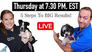 Are You Accidentally Being A BAD Leader For Your Dog?