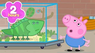 George Sets Free GIANT Lizard 🦎 Funny Zoo Trip! 🦁 Peppa Pig Full Episodes | 2 Hours of Kids Cartoons