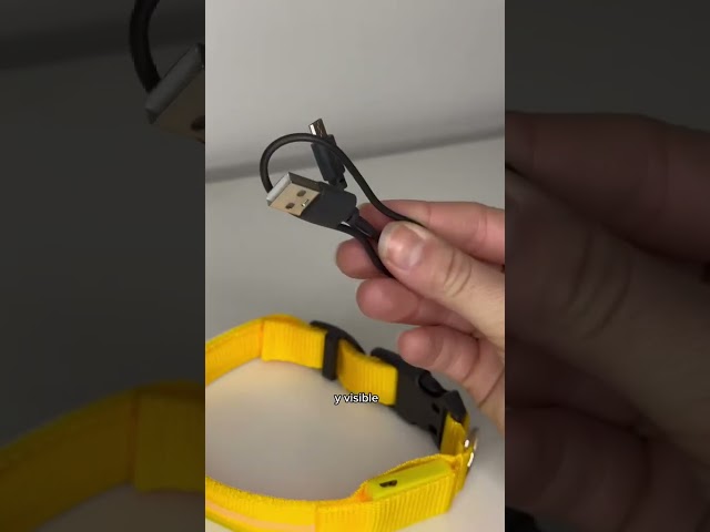 Vídeo relacionado con Jsdoin Collar de Perro Luminoso, Recargable LED para Perros, Tira de luz, tamaño Ajustable, Tres Modos de luz, Seguridad para tu Perro en la Noche para Perros pequeños, medianos y Grandes (Color)