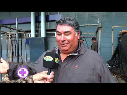 Angus Male and Female Register: Ranchers Must Upload DNA Data to the Website