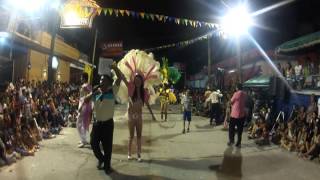 preview picture of video 'Entierro del carnaval en Rosario de Lerma'