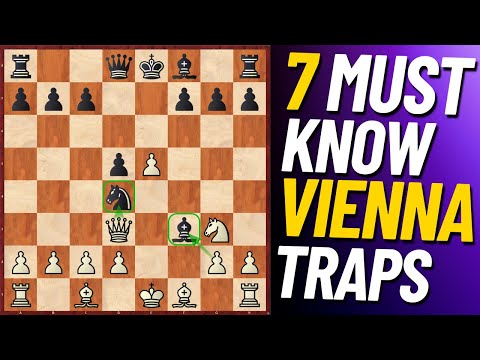 7 Must KNOW Vienna Traps