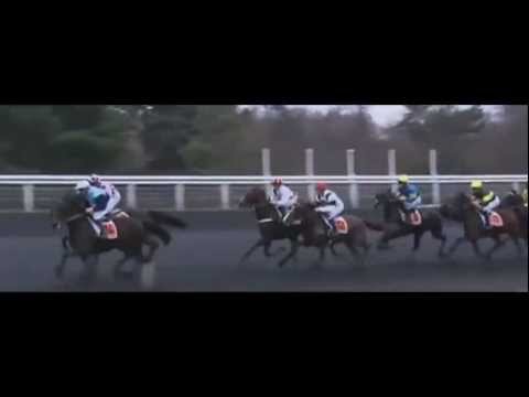 Prix De Vincennes 2012_Vision Intense 1:14,1_Mlle N. Henry