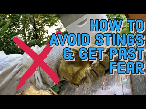 3 Actionable Tips for Working MASSIVE Colonies