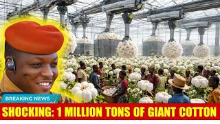 Ibrahim Traoré’s Vision: 1 Million Tons of Cotton Processed and Exported from Burkina Faso in 2026