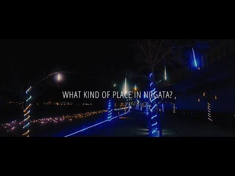 新潟観光 ✖ CHIBI UNITY【イルミネーション編】 Japan_Niigata Promotion ✖ CHIBI UNITY【illumination】