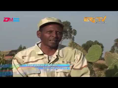 ቅያ ህዝባዊ ግንባር ሓርነት ኤርትራ 🇪🇷💪🏾 for every