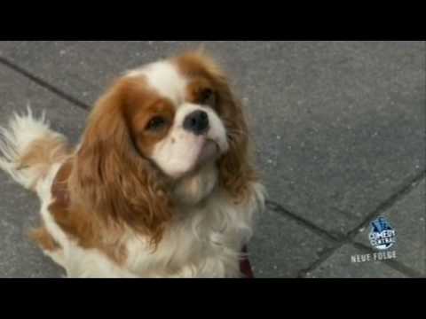 Little Britain USA - Mr. Doggy hat wieder Sonderwünsche