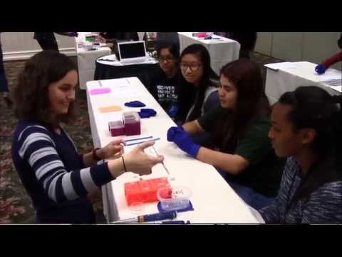 Bioprinting workshop