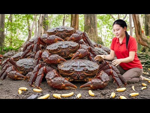 Harvesting Giant Stone Crabs & Goes to Market Sell – Living in a New Treehouse in the Forest
