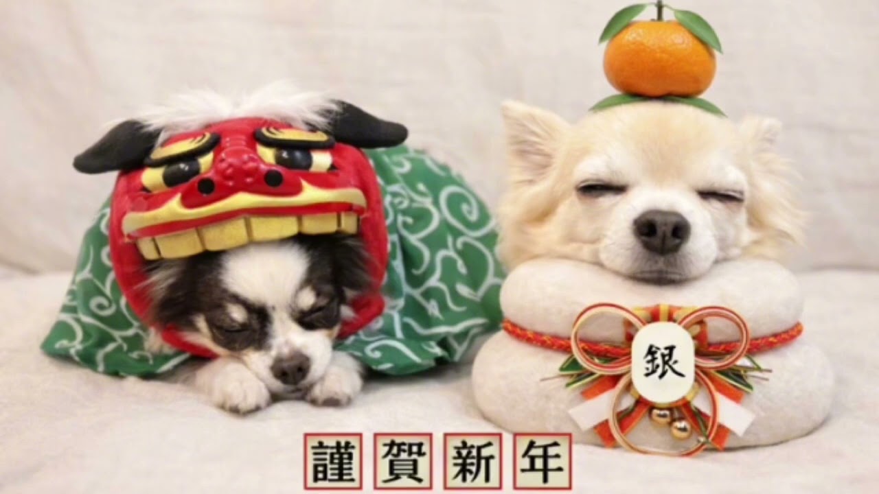 2026年明けましておめでとうございますー！