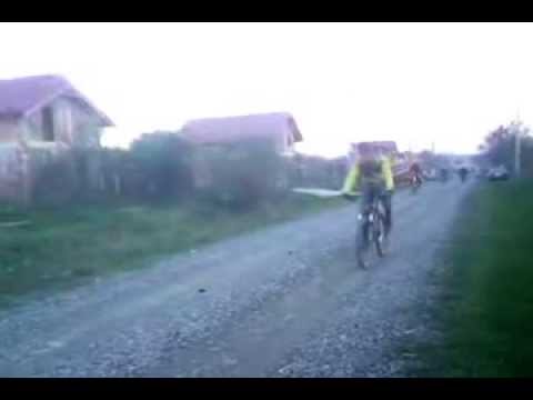 In ritmul toamnei la Salciua Noua