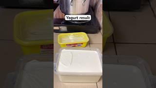 Here is our yogurt result ||would be trying this? #food #yogurtmaking #easyrecipe