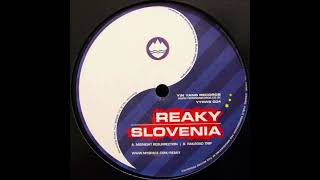 Reaky - Railroad Trip (B) [YYRWS004]