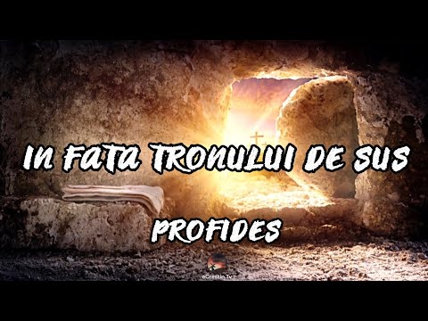 In fata Tronului de Sus - Profides