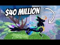 Buying Dragons in Auctions! (Dragon Adventures)