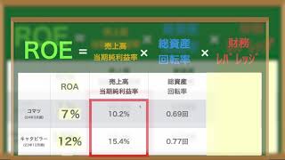 【保存版】投資や仕事で絶対覚えておきたいROE⧸ROAの関係を事例で覚える【デュポン公式】