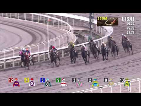 26/6/2021 (783) True Legend - Matthew Poon