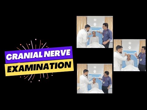 Cranial Nerve Examination