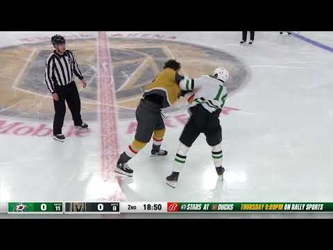 Jamie Benn and Nic Hague Fight