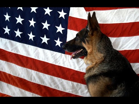 Major announcement Livestream on NOT YOUR FATHER's COUNTRY channel tonight at 7pm cst