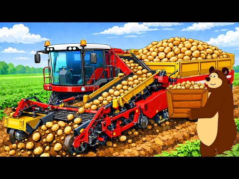 Mass Potato Harvesting Process 🥔⚙️ | Bear Using Modern Farming Machinery | Big Garage