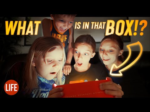 嚐嚐日本各地的小吃 | 日本的生活 第112集 (Trying Snacks from All Over Japan | Life in Japan Episode 112)